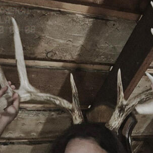 antler queen.